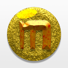 Mandarine TurnyO icon