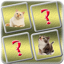 Cat Matching Game APK