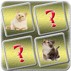 Cat Matching Game আইকন