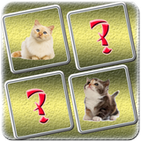 Cat Matching Game icône