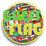 ”Guess Flag