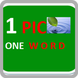 1 PIC ONE WORD