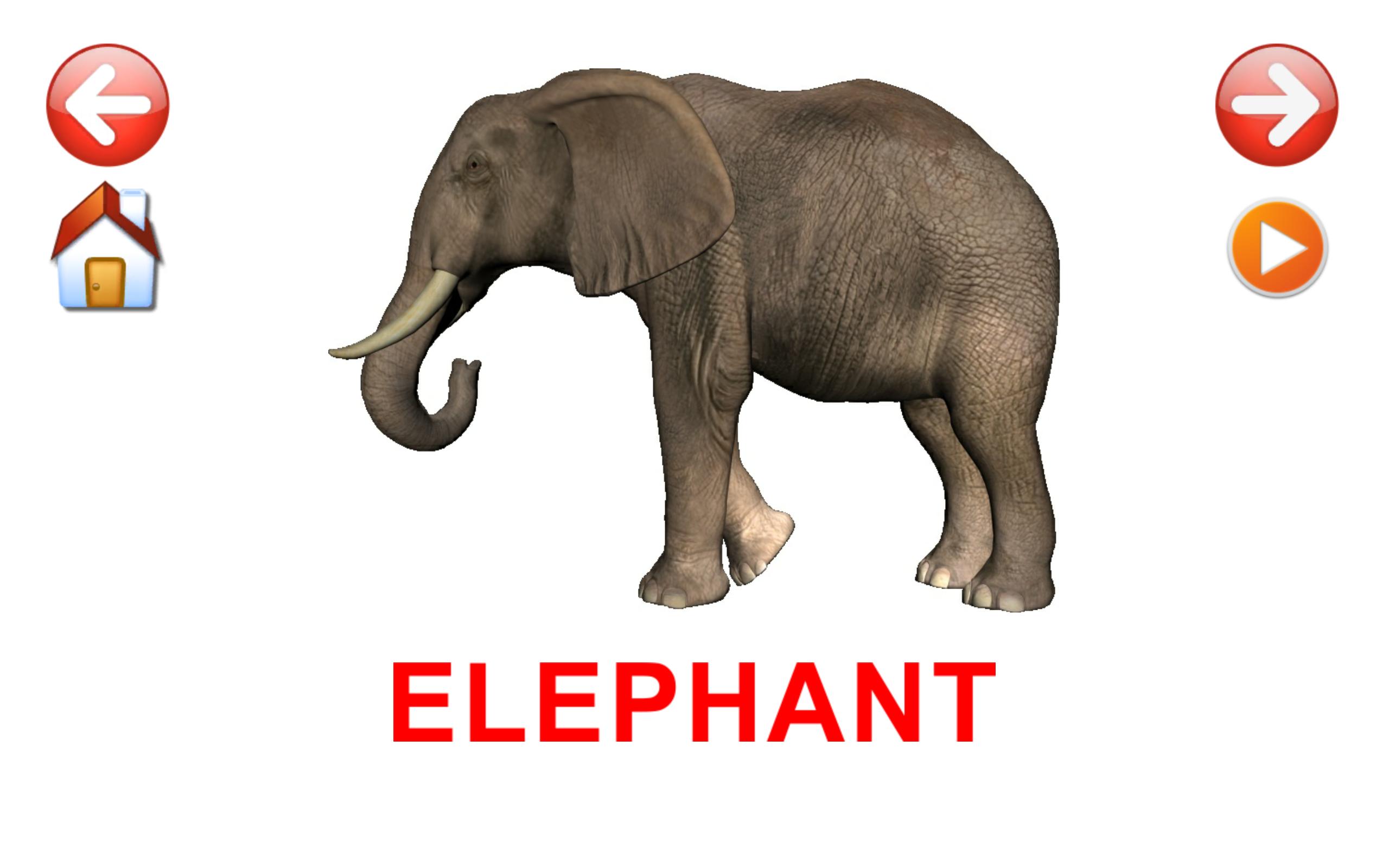 8 слоников