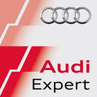 ikon Audi Sport Expert Training