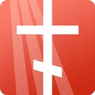 Правжизнь православный магазин icon