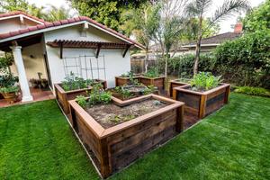برنامه‌نما Garden Ideas عکس از صفحه