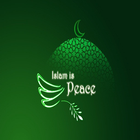 ইসলামের চোখে icon
