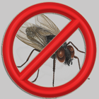 Anti Flies icône