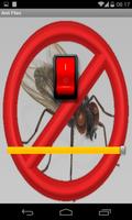 Anti Flies Affiche