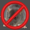 Anti Ratas APK