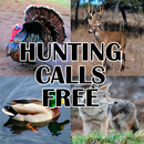 Hunting Calls APK