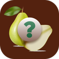 Guess The Fruits