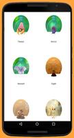 Guide for Pokemon Go تصوير الشاشة 2