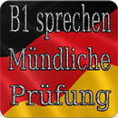 B1 sprechen Mündliche Prüfung APK