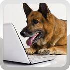 German Shepherd Wallpapers أيقونة