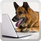 German Shepherd Wallpapers 圖標