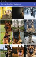 German Shepherd Wallpapers captura de pantalla 1