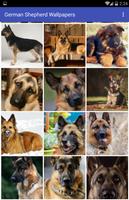 German Shepherd Wallpapers capture d'écran 2