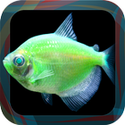 GloFish® Puzzle Game icône