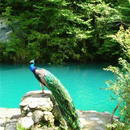 APK Lago Blu In Abkhazia puzzle