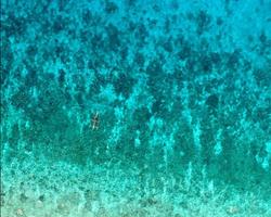 Sulu Sea Wallpaper capture d'écran 2