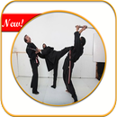 500 ++ Ninjutsu-Bewegung APK