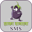 বোকা বানানো মেসেজ - Boka bananor jokes APK