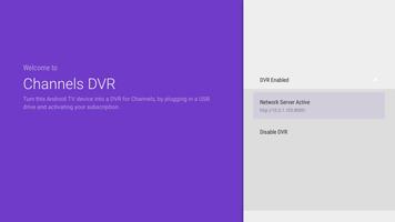 Channels DVR Server Ekran Görüntüsü 1