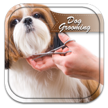 Dog Grooming Tips