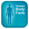 Human Body Facts