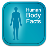 Human Body Facts