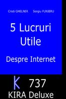 5  Sfaturi Despre Internet Affiche