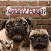 Angry Pugs by GetPuggedUp.com icon