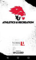 York Recreation plakat