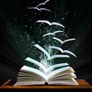Книжная библиотека APK