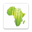 INBAR Bamboo Survey APK