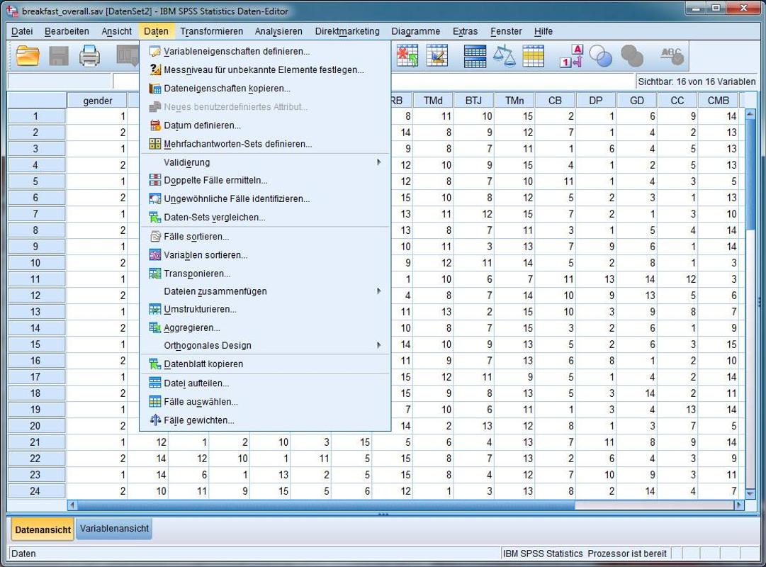 Spss Version