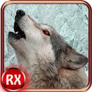Wild Wolf Attack 3D Simulator APK