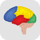 Brain Challenge - Game Trainer icon