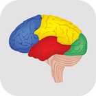 Brain Challenge - Game Trainer आइकन