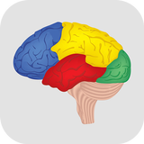 Brain Challenge - Game Trainer icône