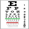 Full Visual Test