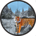 Wilder Tiger Hunters