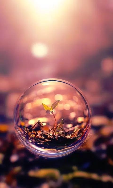 Tải xuống APK 3D Wallpapers HD cho Android Tải xuống APK 3D Wallpapers HD cho Android