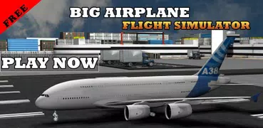 Big Airplane Flight Simulator