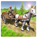 Horse Village Transport 2017