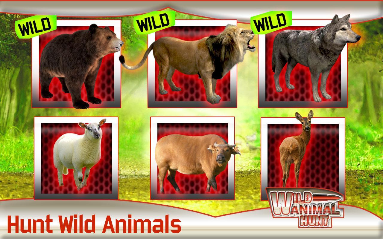 Игра wild animal