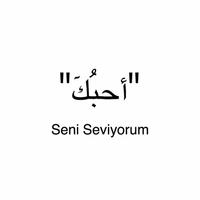 Learn تعلم اللغة التركية capture d'écran 2