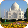 India Tour
