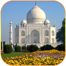 India Tour APK